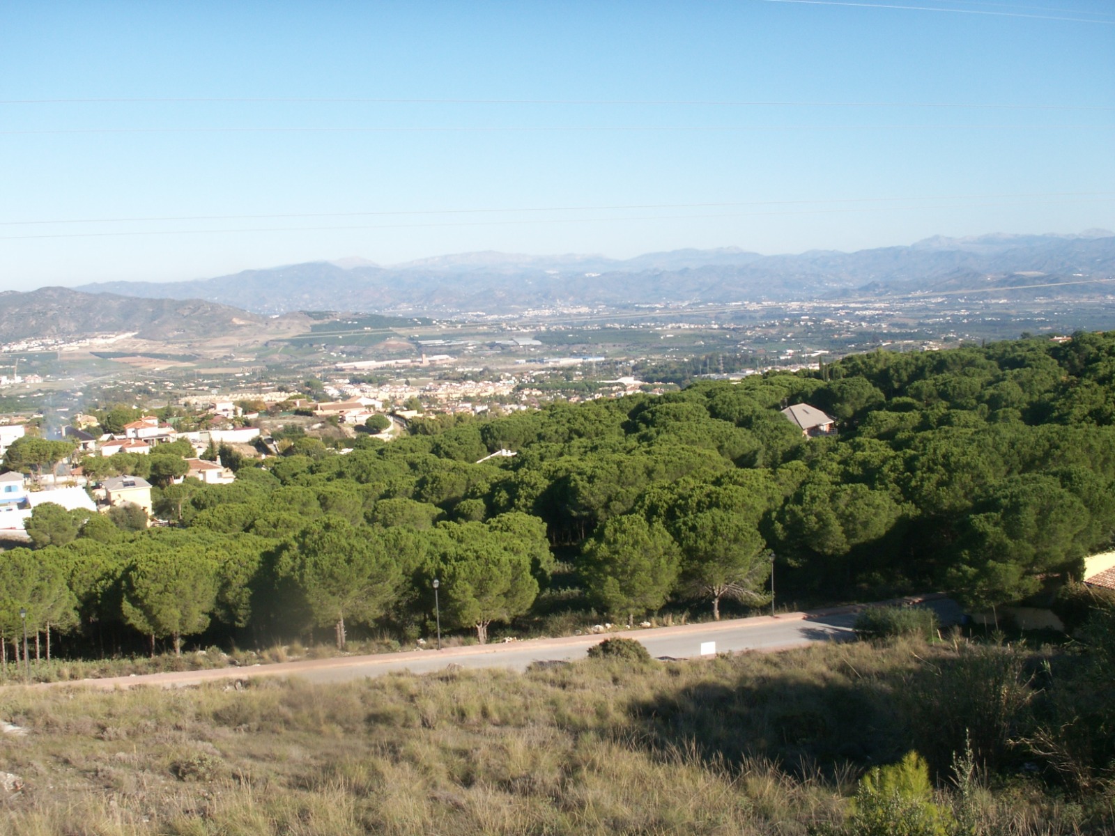 Imagen 2